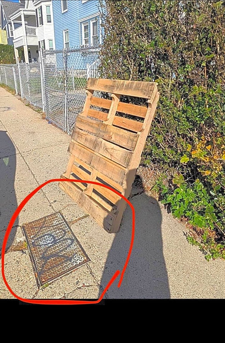 Image submitted with report