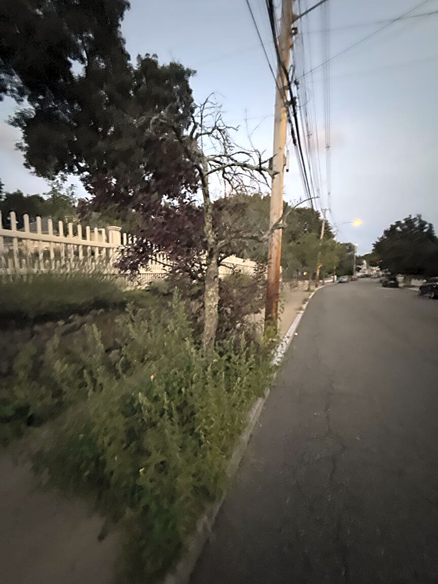 Image submitted with report