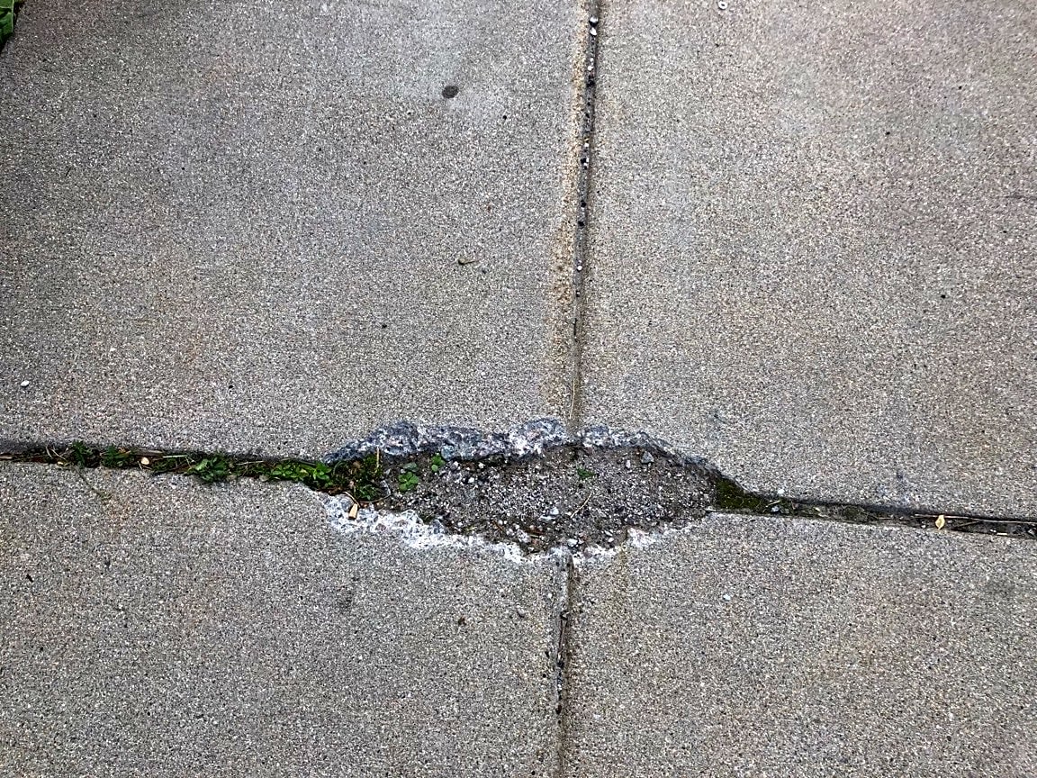 Image submitted with report