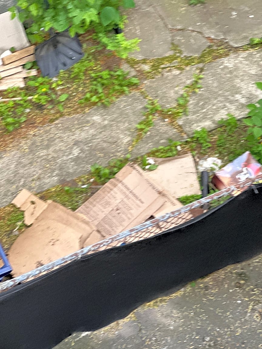 Image submitted with report