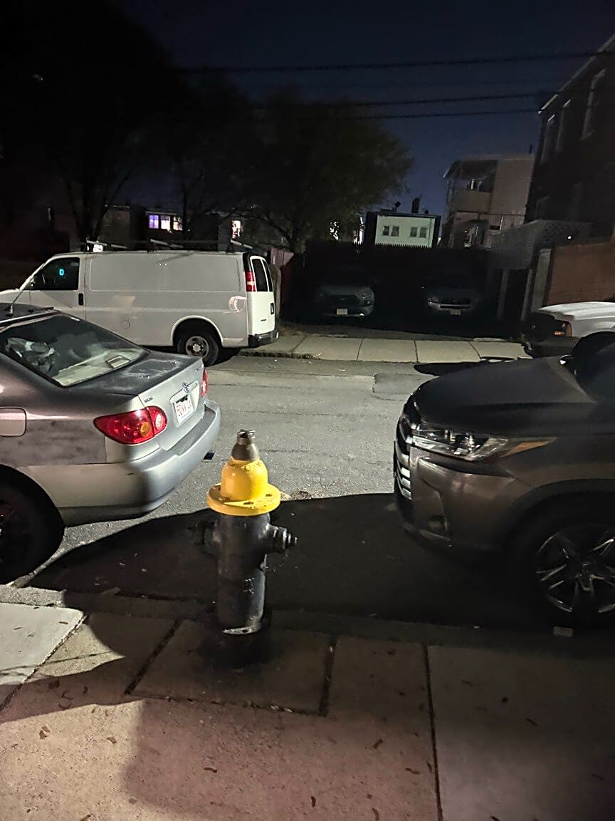 Image submitted with report