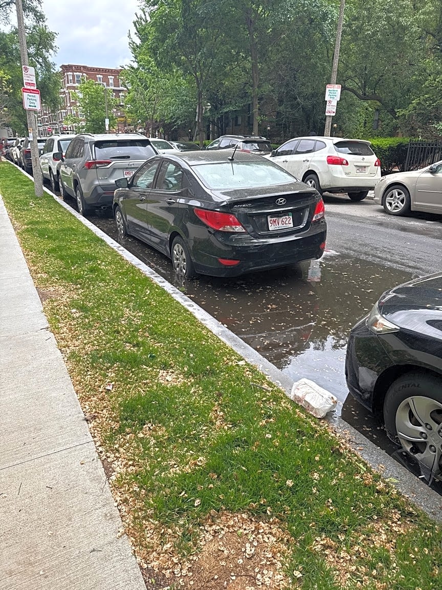 Image submitted with report