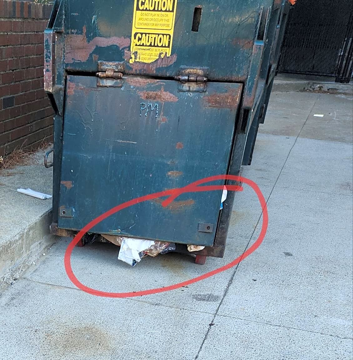 Image submitted with report