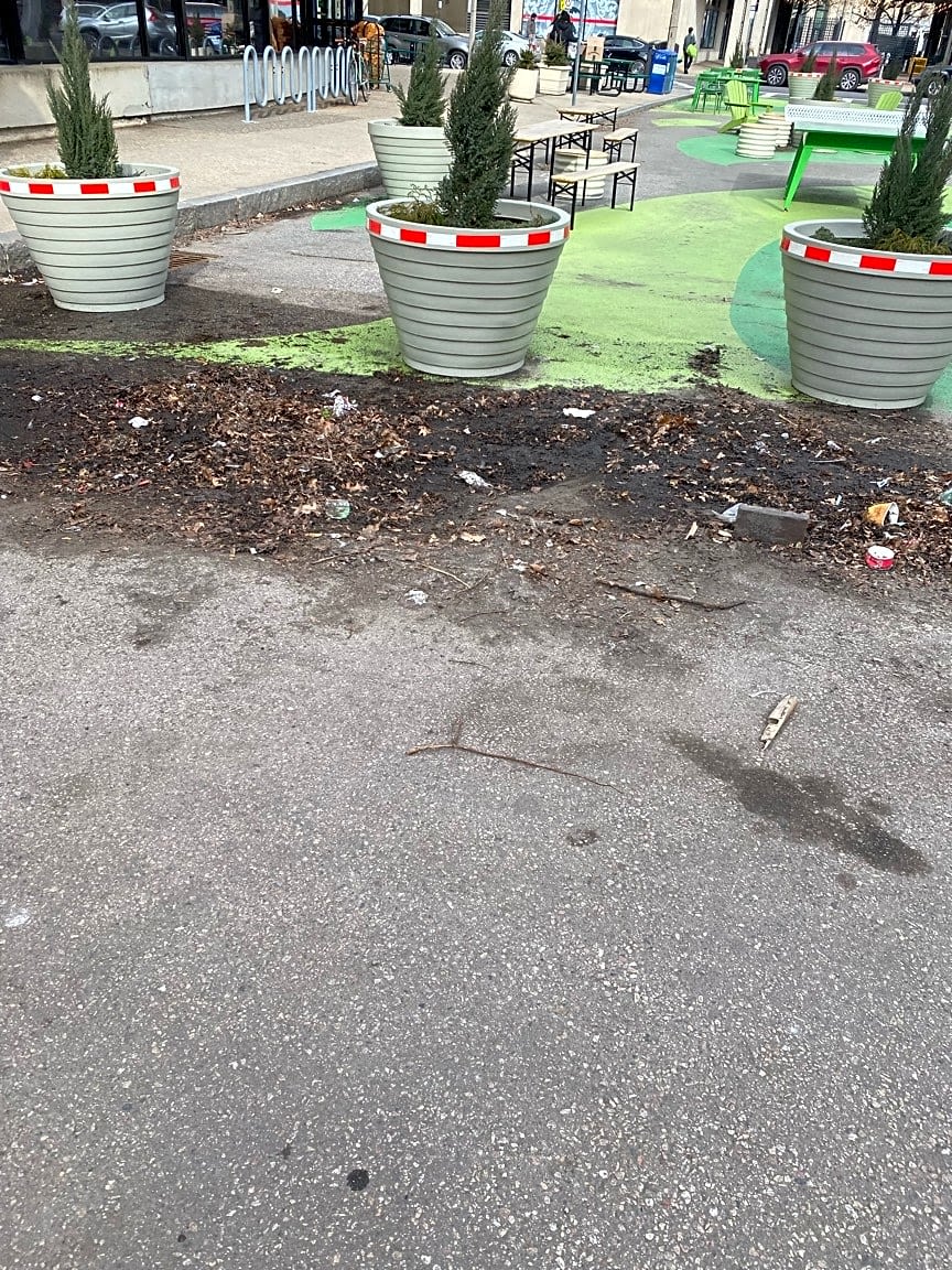 Image submitted with report