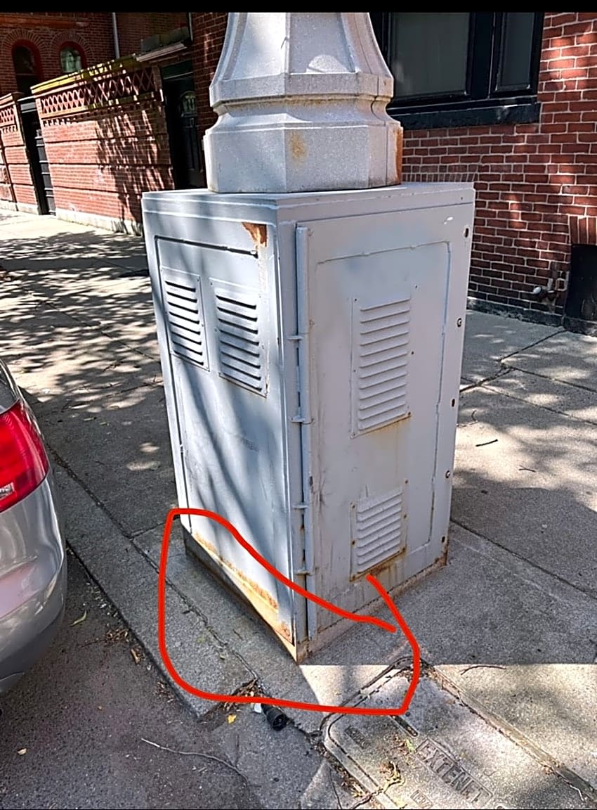 Image submitted with report