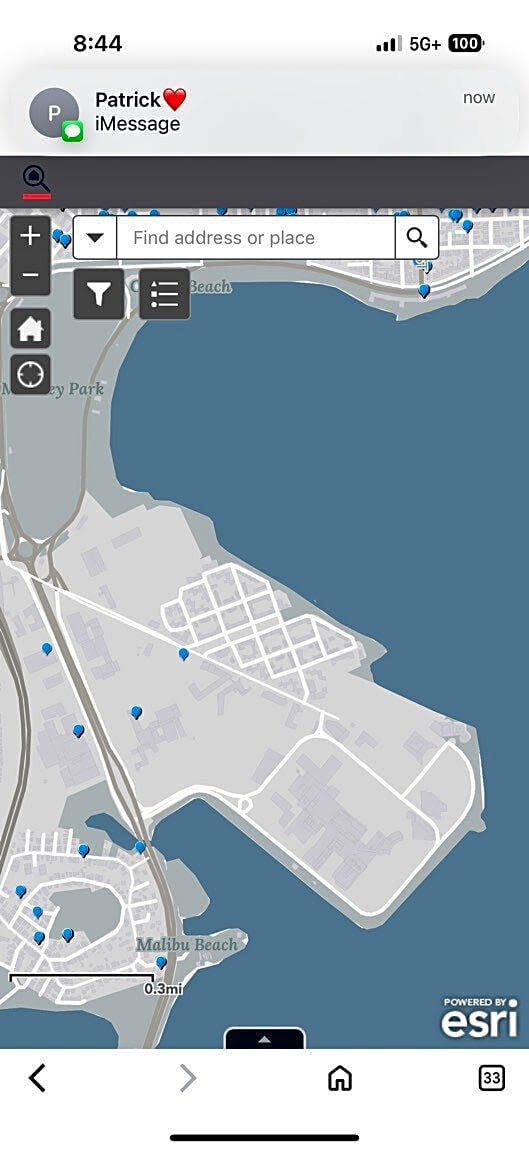 Image submitted with report