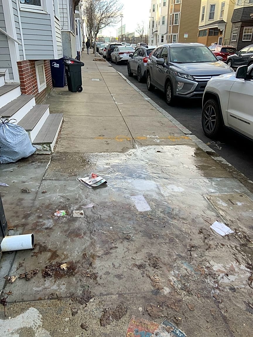 Image submitted with report