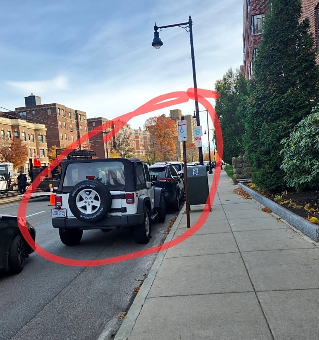 Image submitted with report