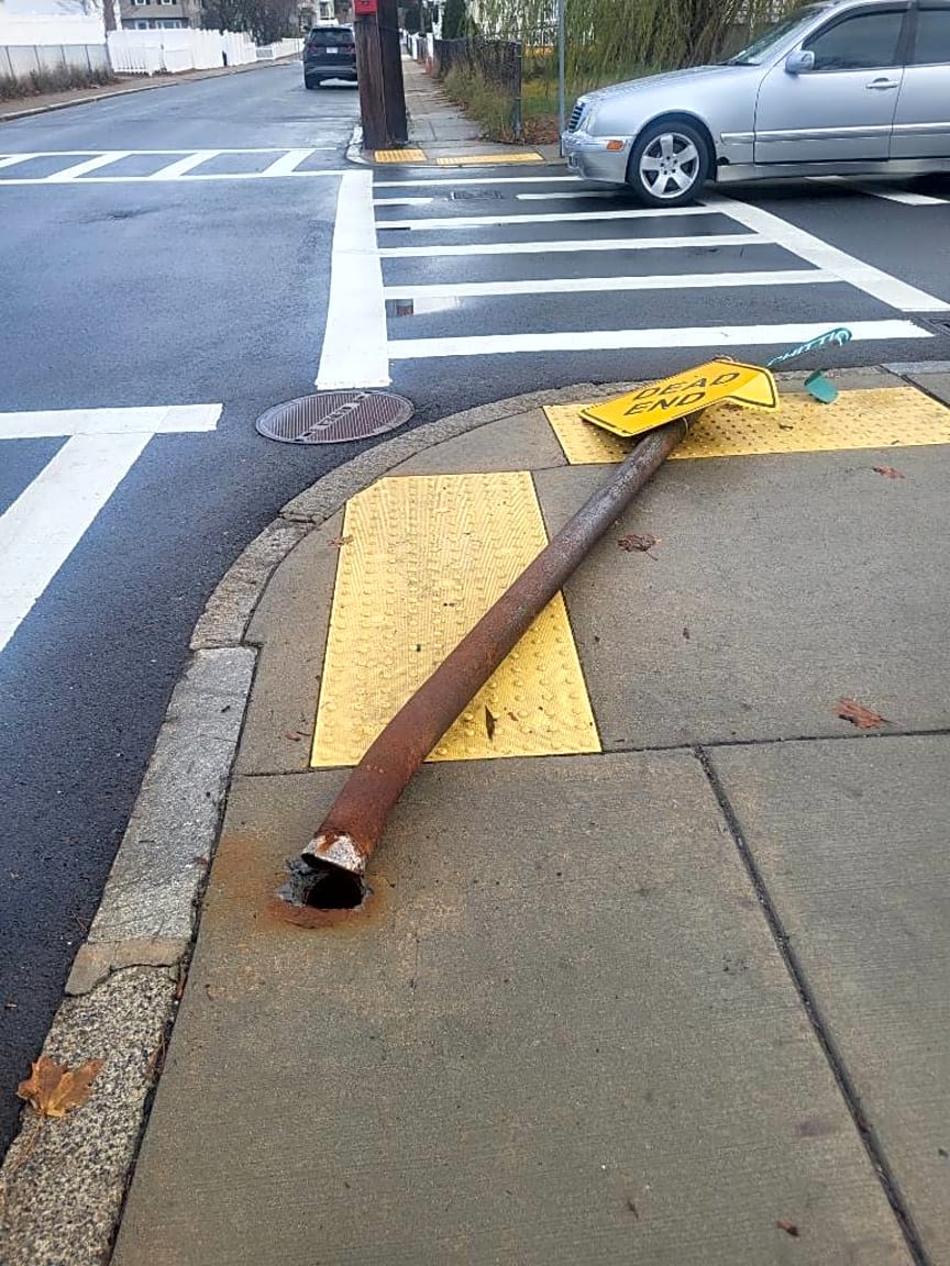 Image submitted with report