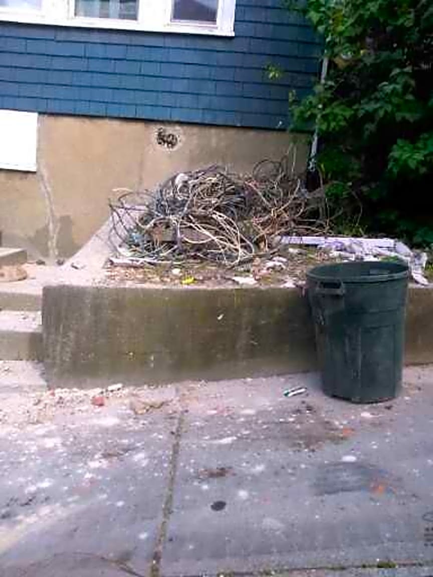 Image submitted with report