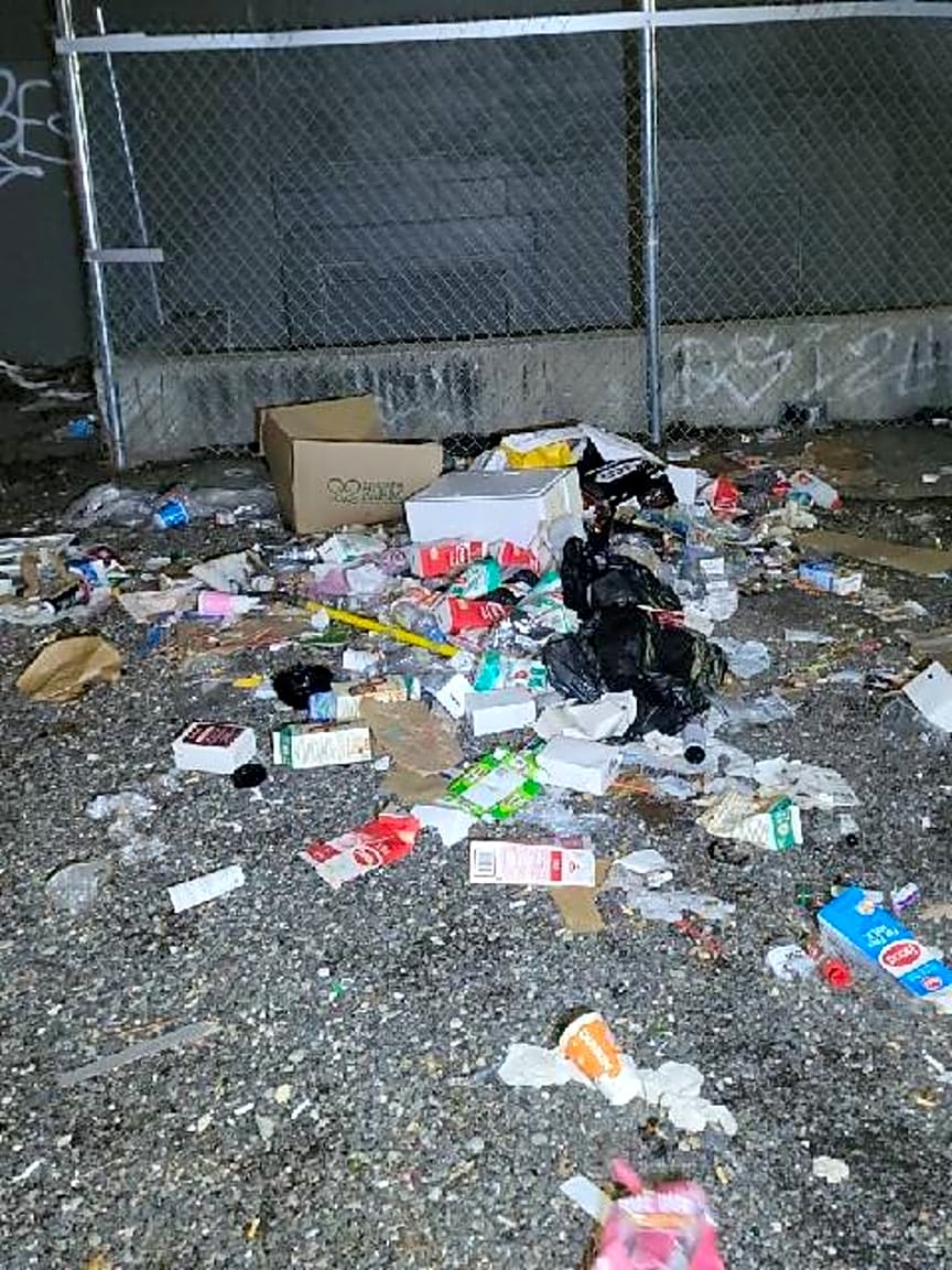 Image submitted with report