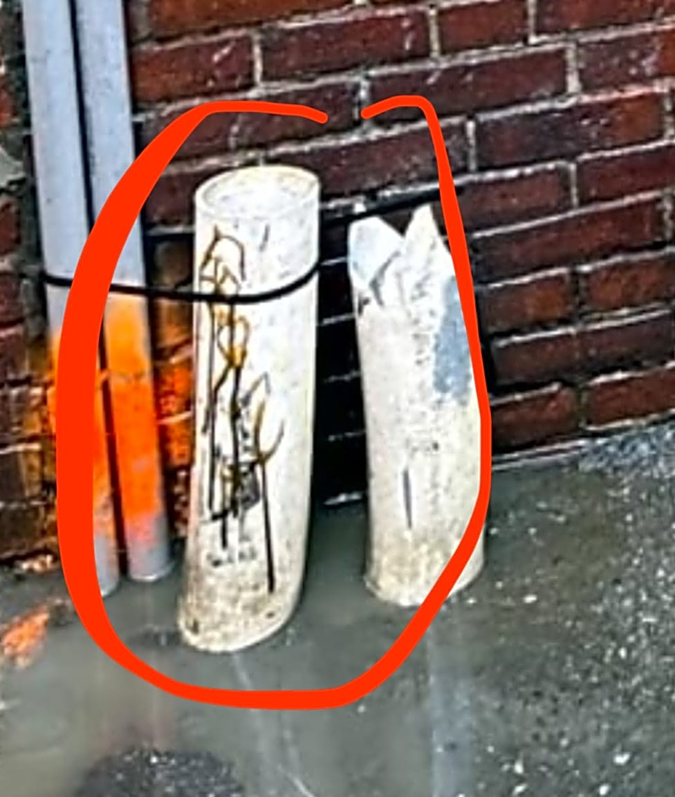 Image submitted with report
