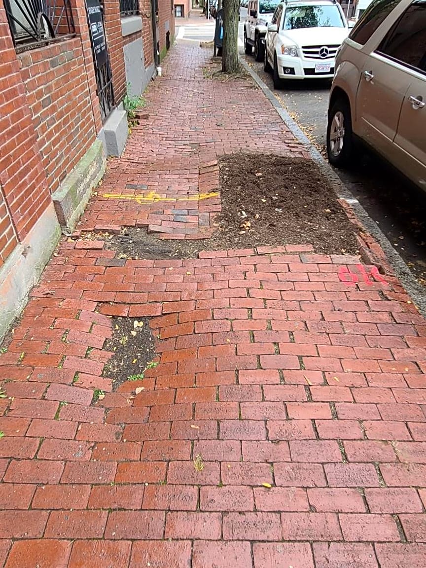 Image submitted with report