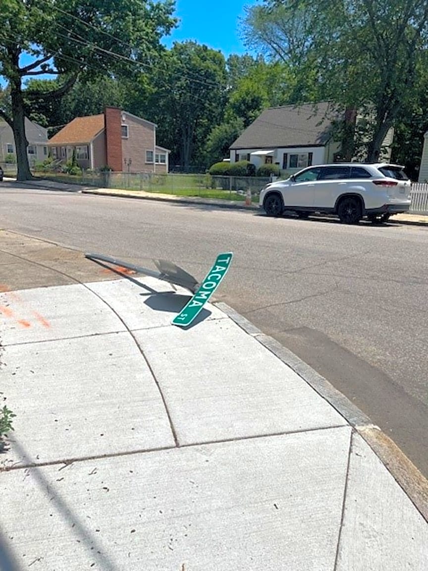 Image submitted with report