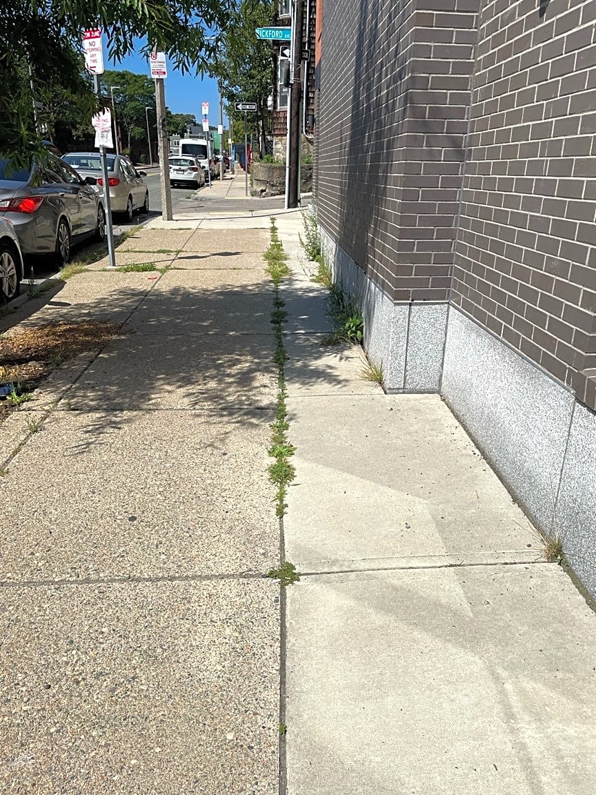 Image submitted with report