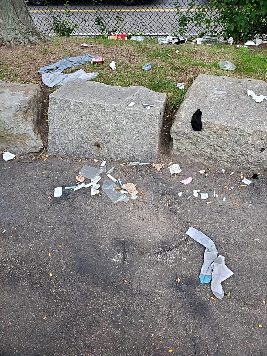 Image submitted with report