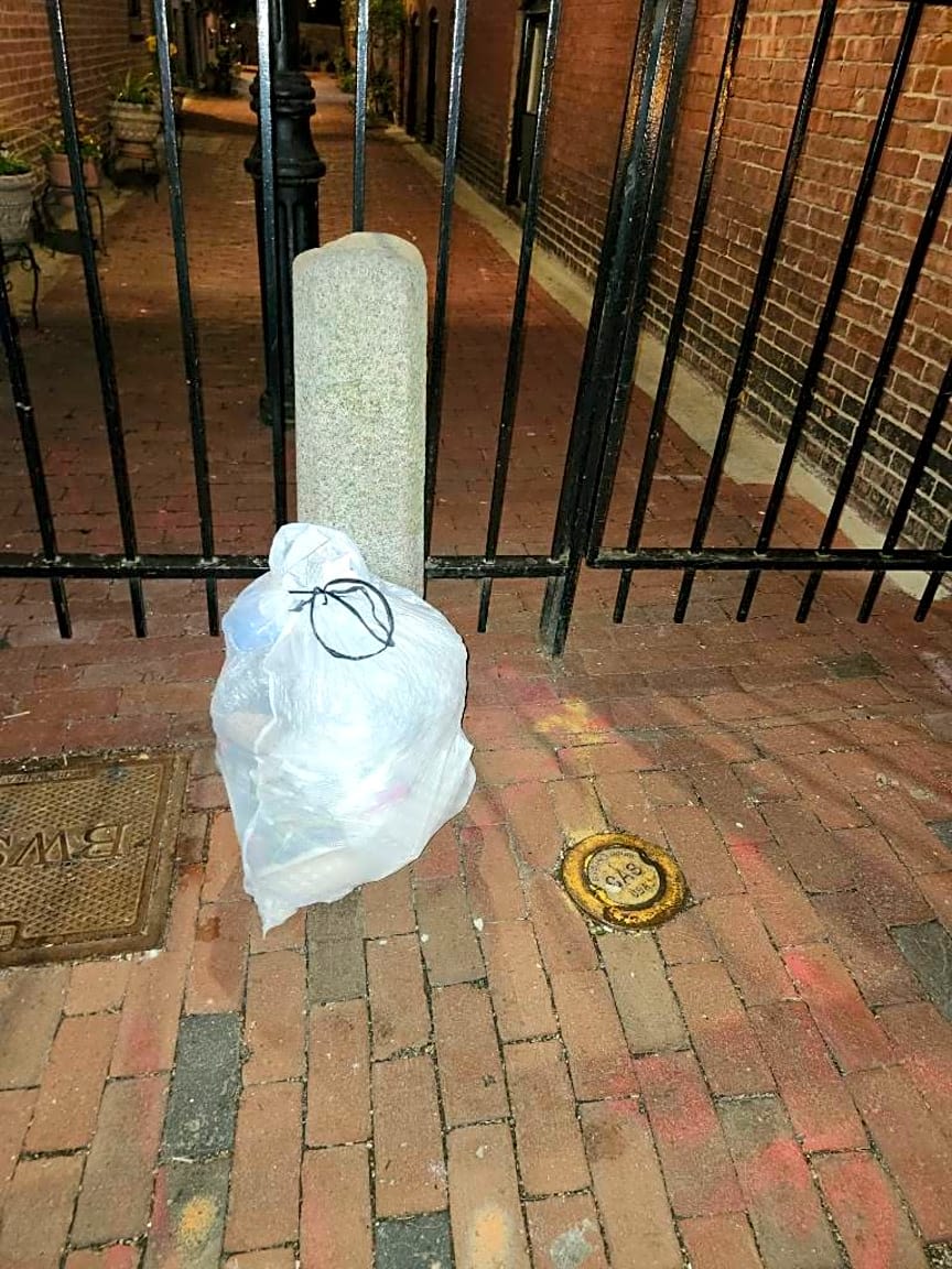 Image submitted with report