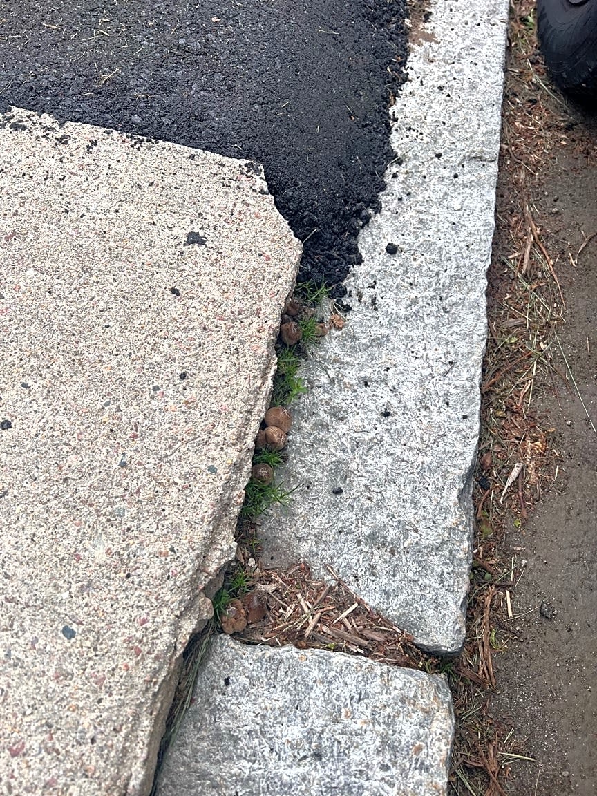 Image submitted with report
