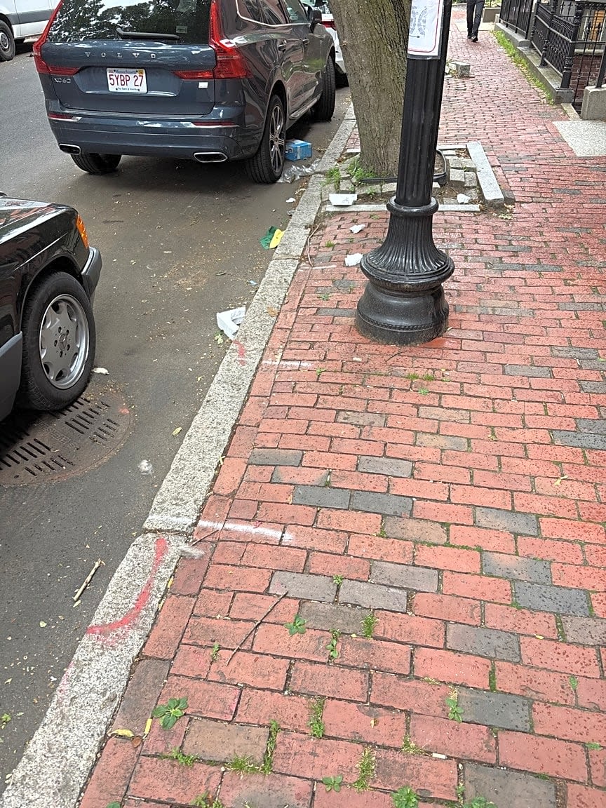 Image submitted with report