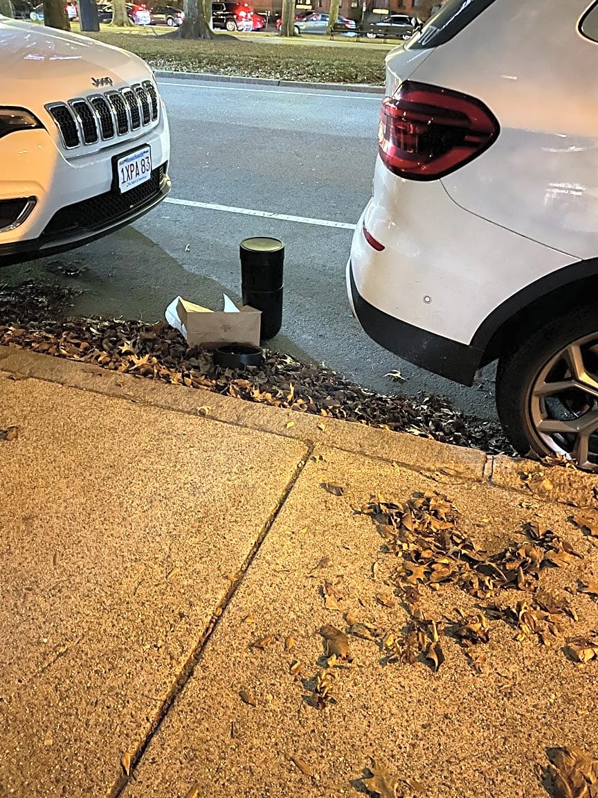 Image submitted with report