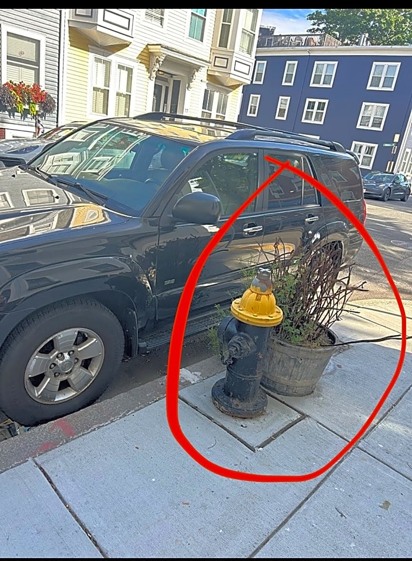 Image submitted with report