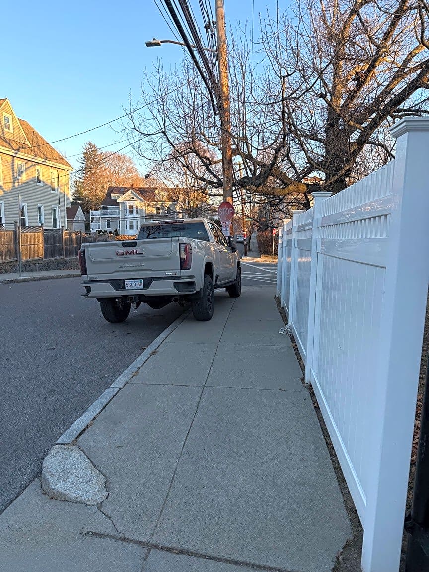 Image submitted with report