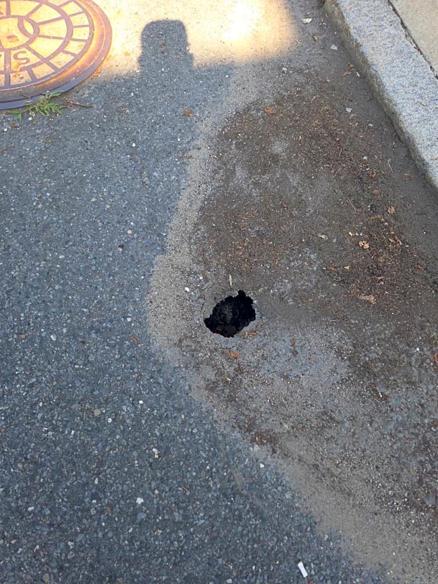 Image submitted with report