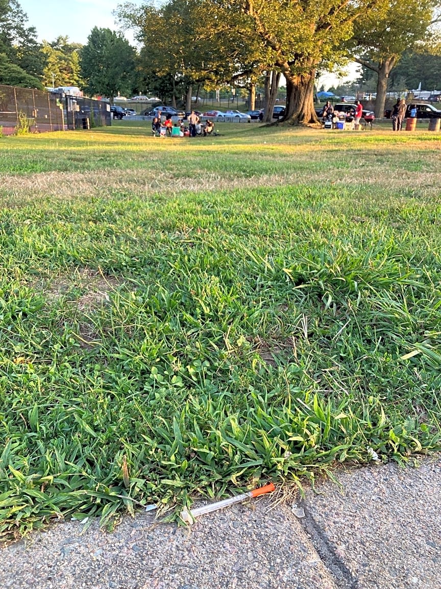 Image submitted with report
