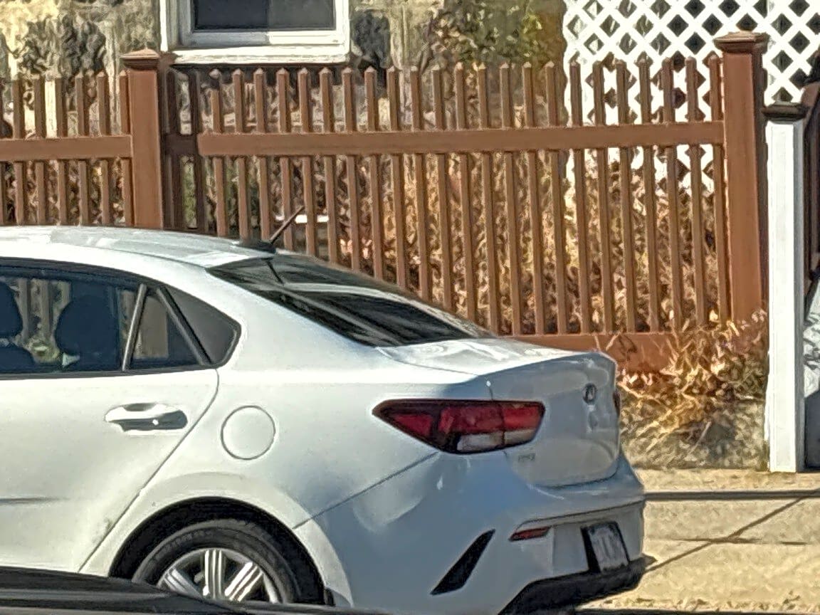 Image submitted with report