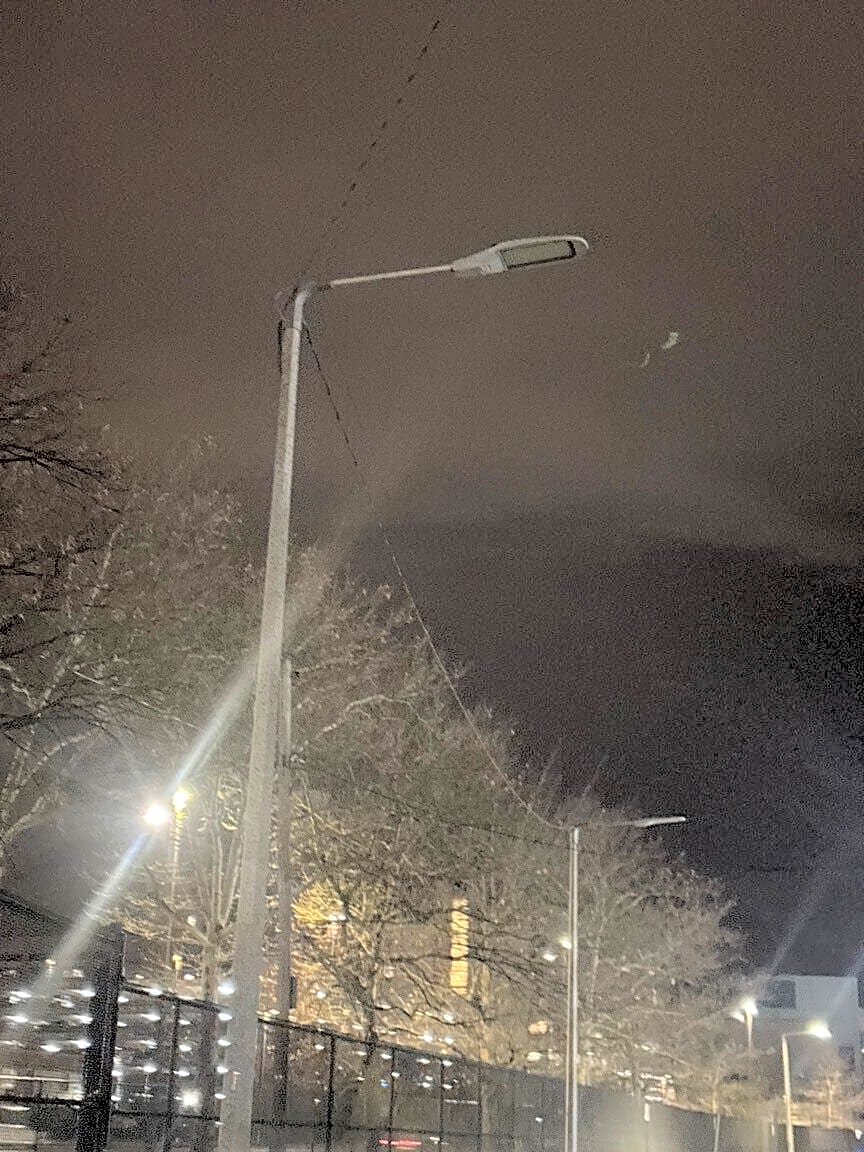 Image submitted with report