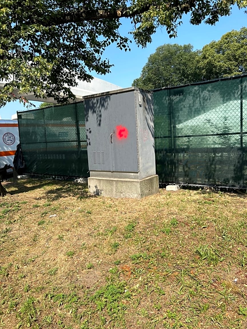 Image submitted with report