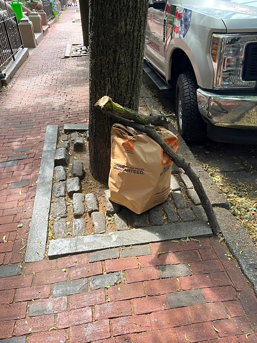 Image submitted with report