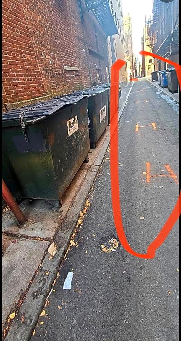 Image submitted with report