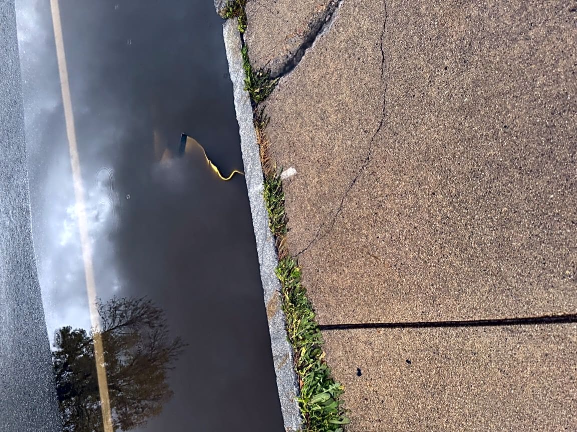 Image submitted with report