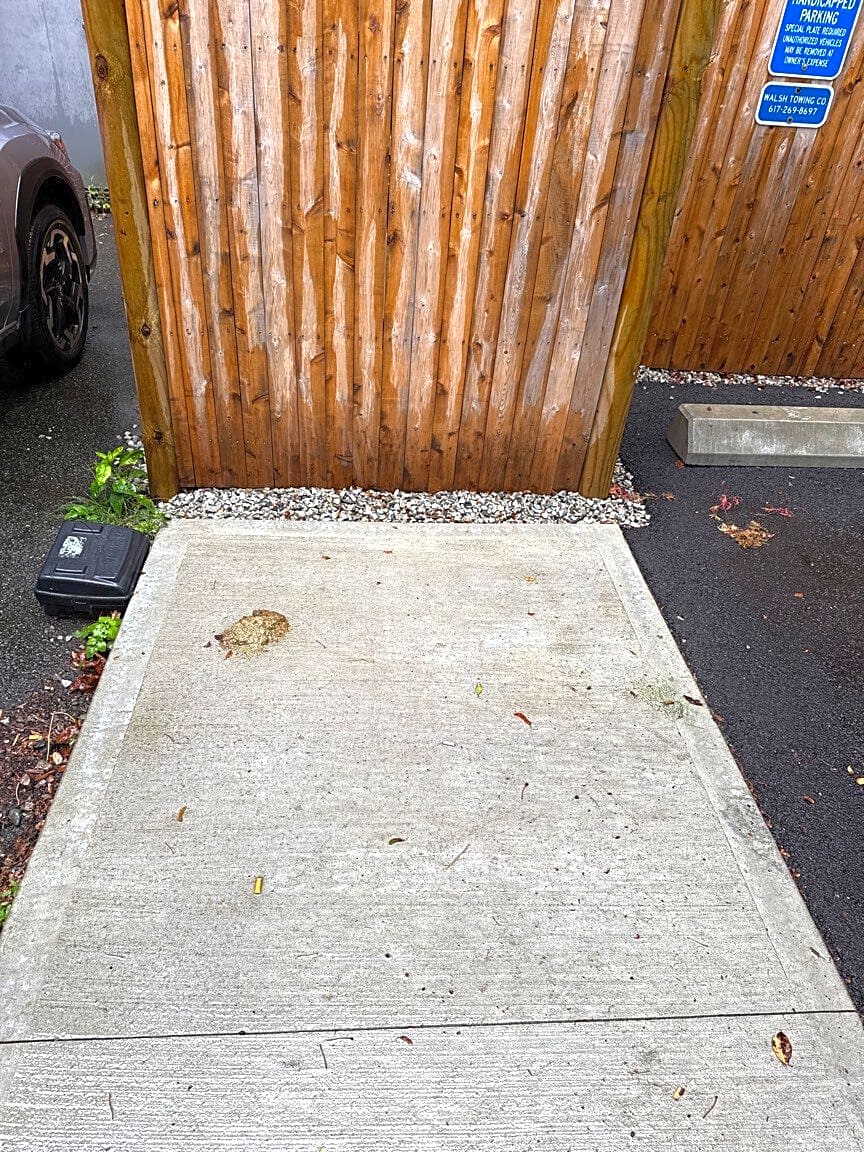 Image submitted with report