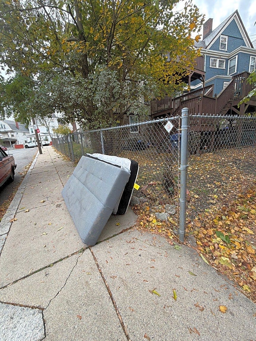 Image submitted with report