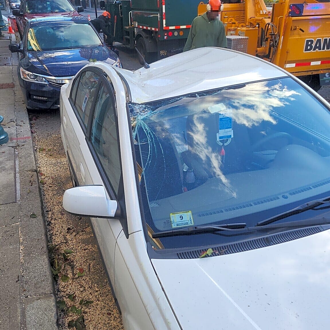 Image submitted with report