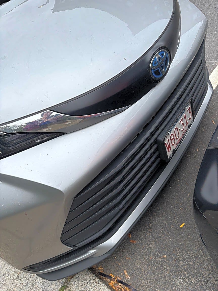 Image submitted with report