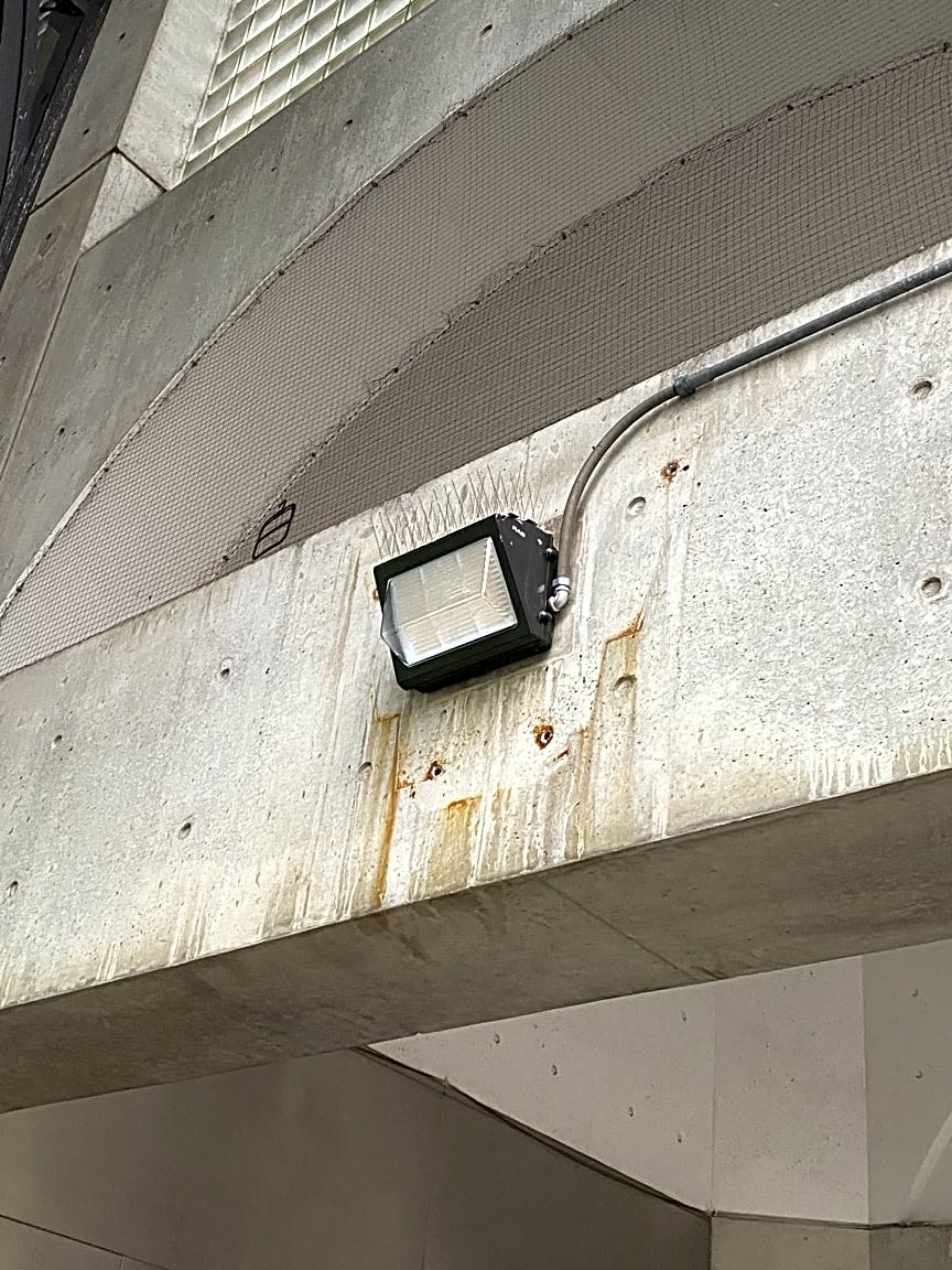 Image submitted with report