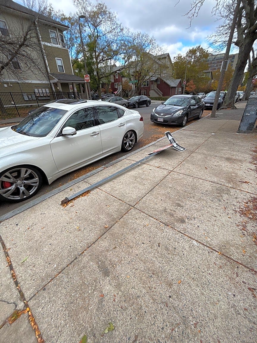 Image submitted with report