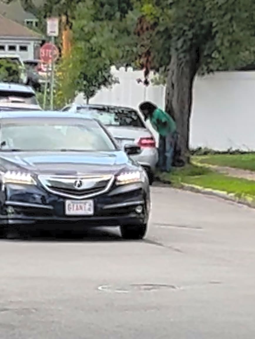 Image submitted with report