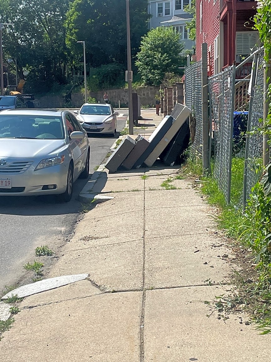 Image submitted with report