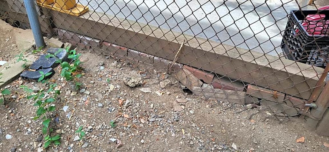 Image submitted with report