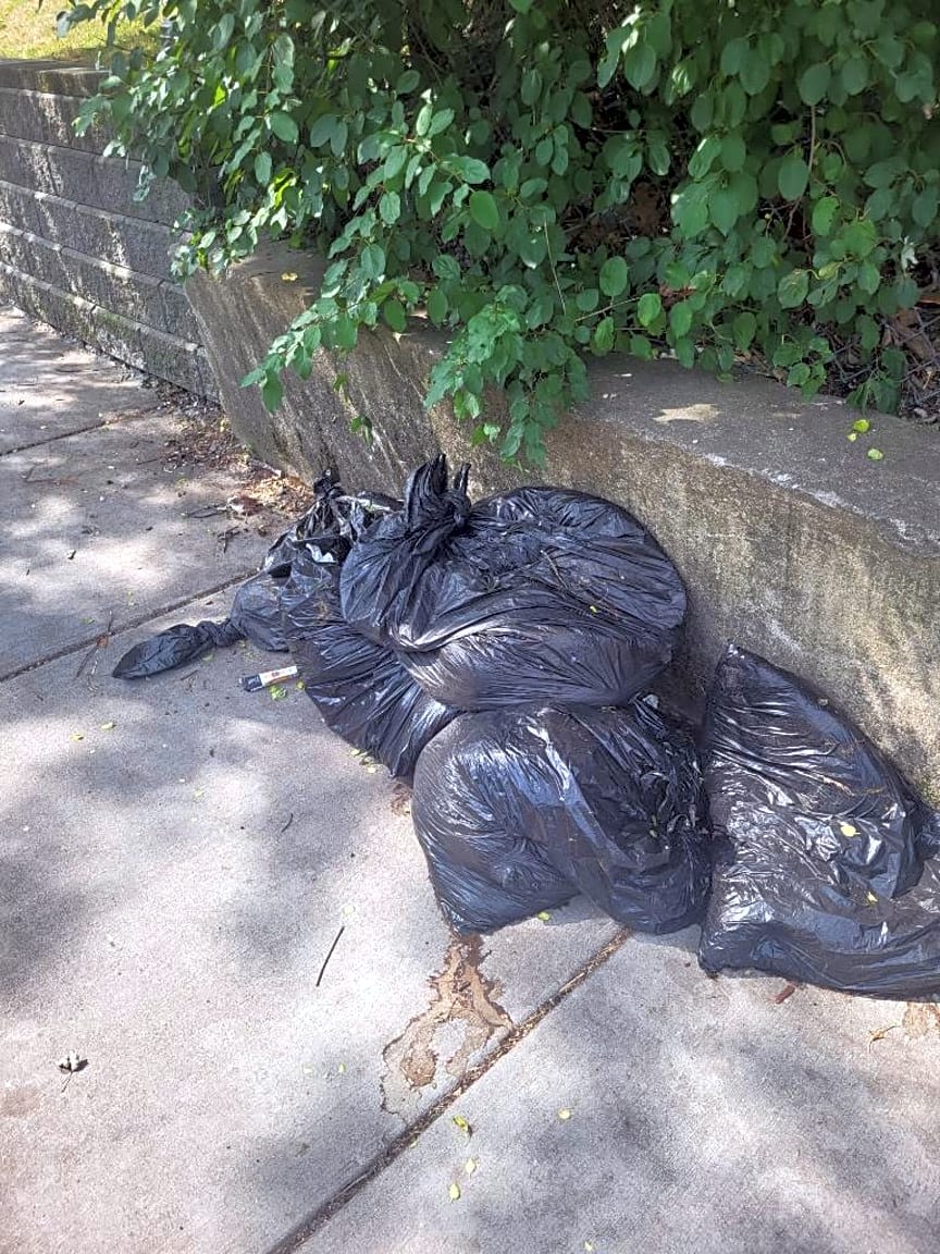 Image submitted with report
