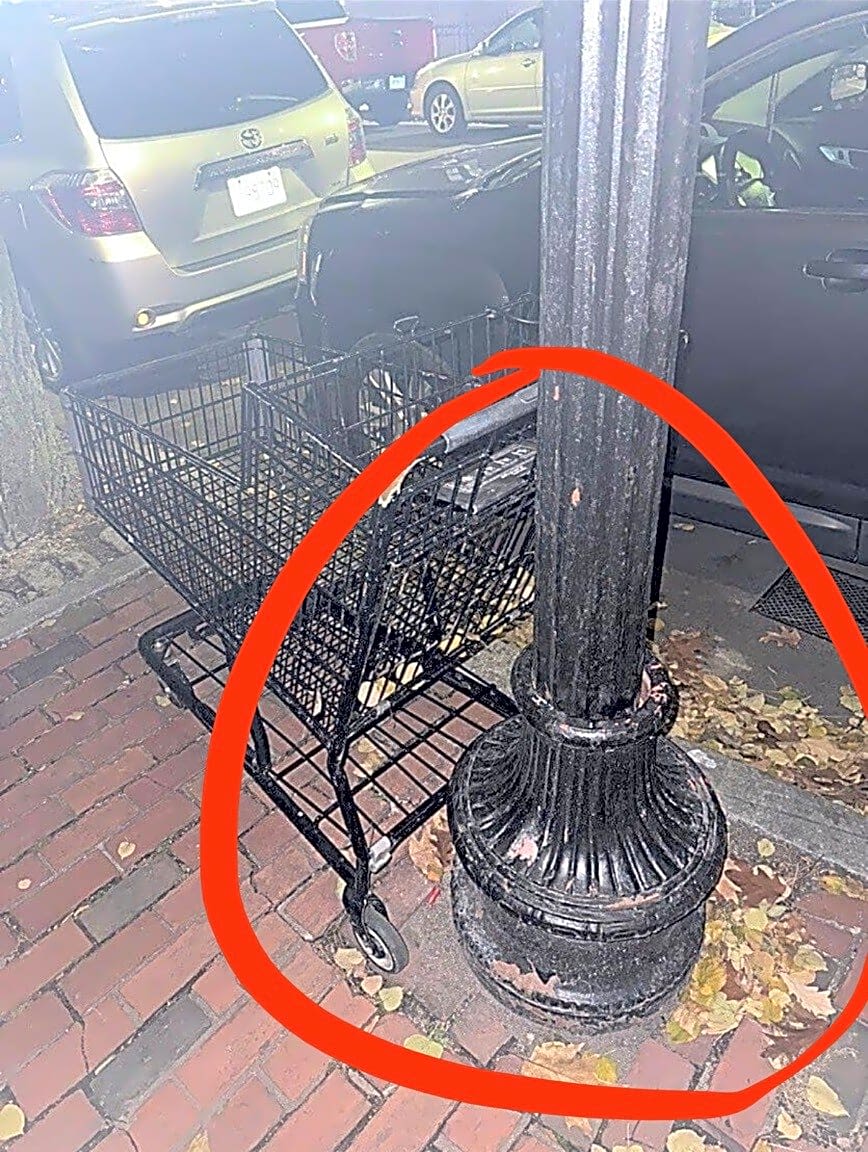 Image submitted with report