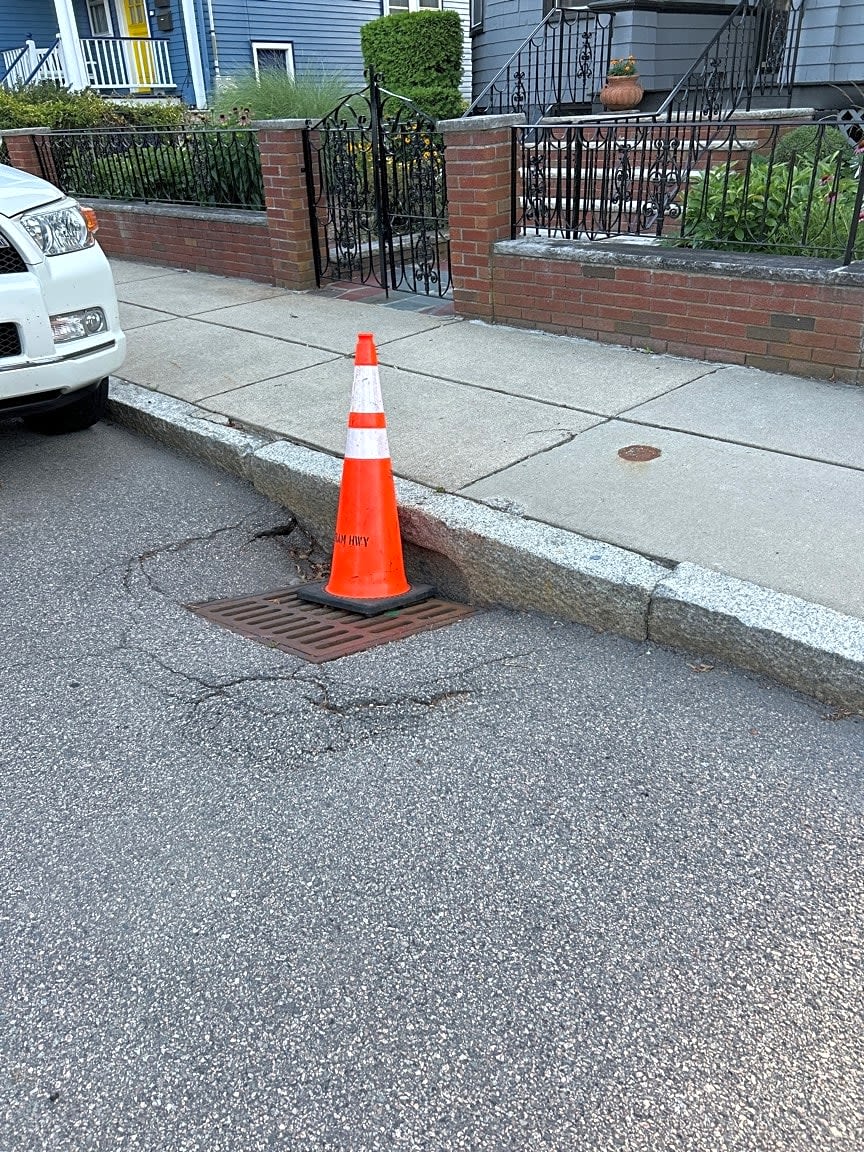 Image submitted with report
