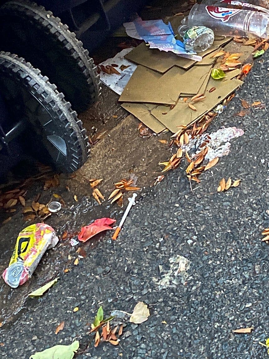 Image submitted with report