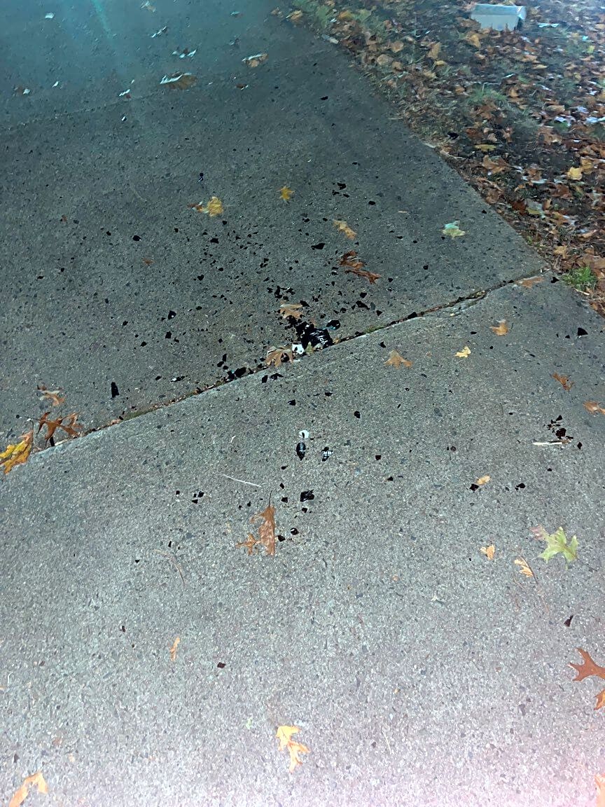 Image submitted with report