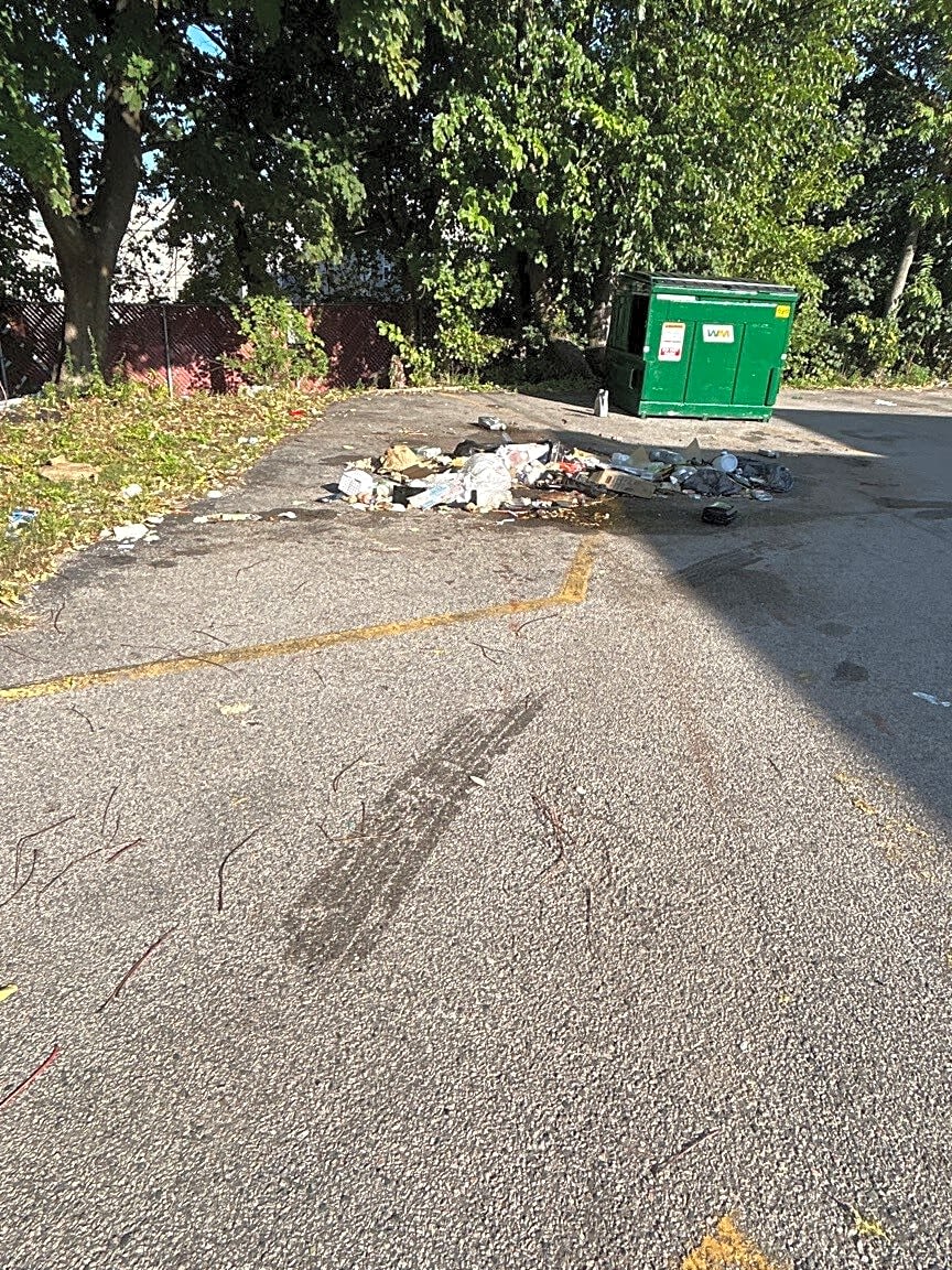 Image submitted with report