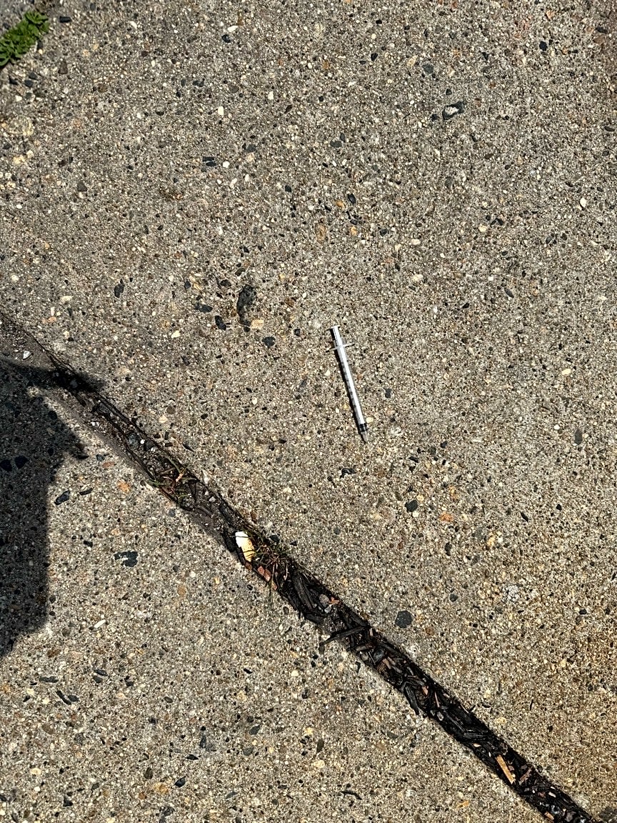 Image submitted with report